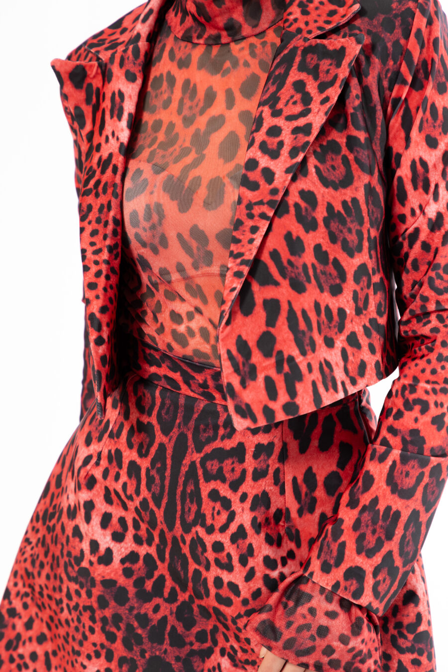 Leopard Flame - Image 6